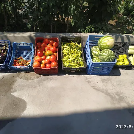 ήσυχη μονοκατοικία με κήπο. Hébergement de vacances